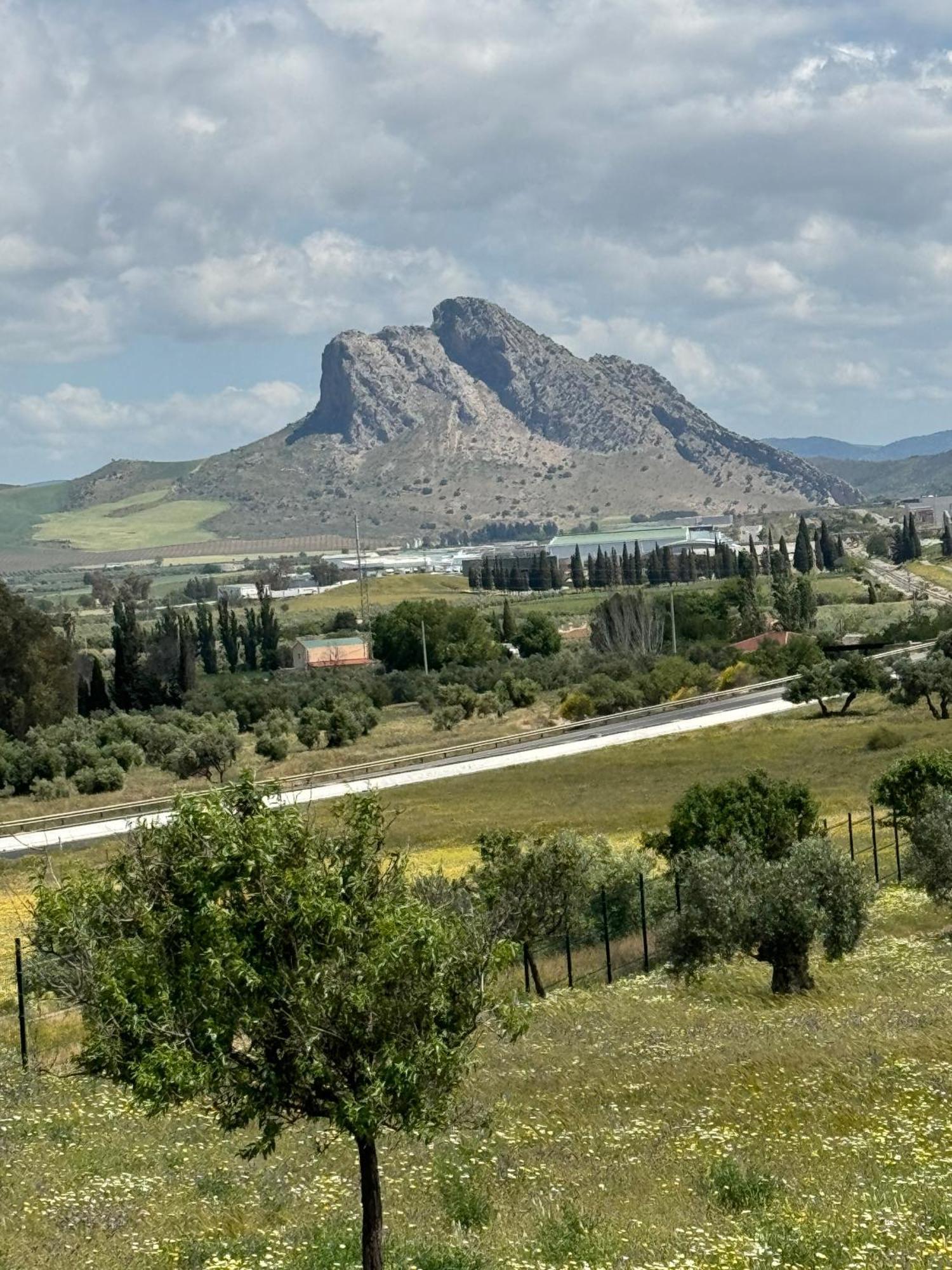 Casa Flamenco - Casco Antiguo Villa Antequera Eksteriør billede